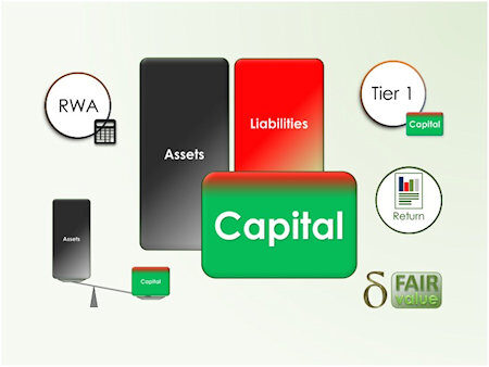 Capital Management - e-Learning course